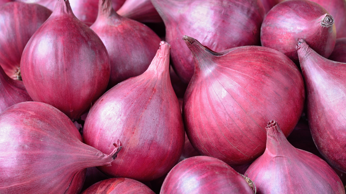 Onion Export from India