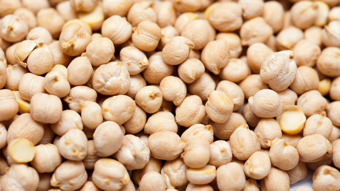 Kabuli Chana Export from India